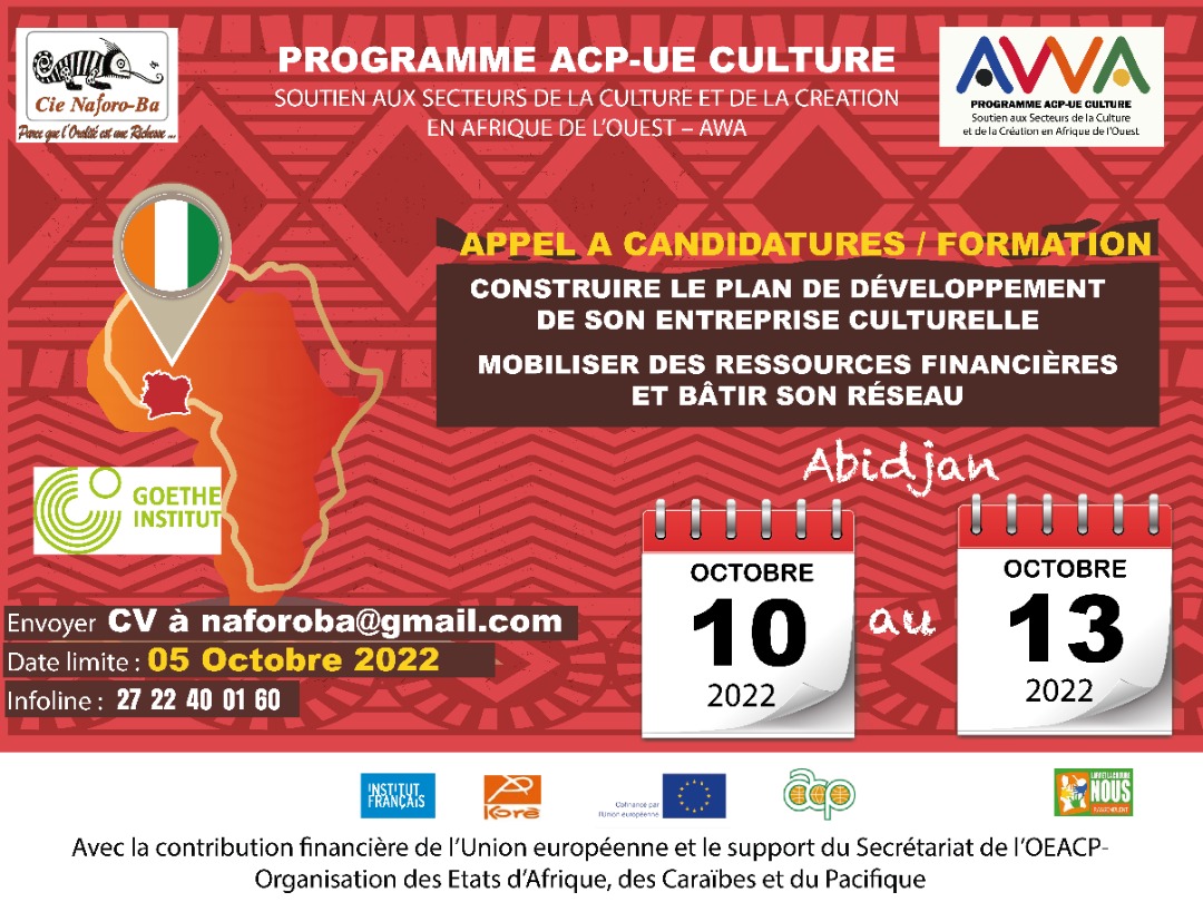 APPEL A CANDIDATURES / FORMATION ICC / GOETHE-INSTITUT ABIDJAN